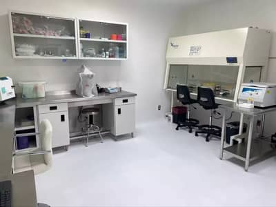 Slider image (1) Stem Health | Leading Stem Cell Clinic in Tijuana, Mexico